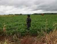 La colonia Huber Duré sumida en una severa conjetura de intoxicación de su gente