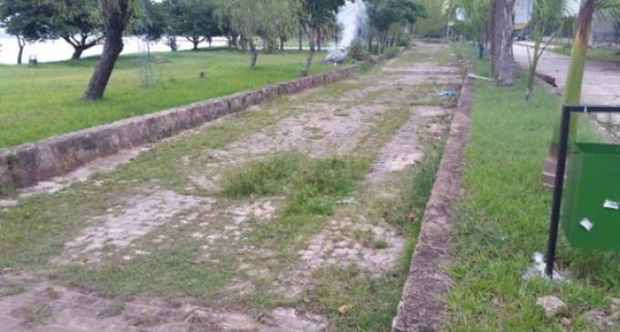 Lamentan estado de abandono de ciclovía de San Ber