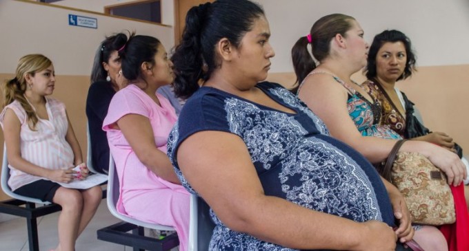 La ONU pide a los países con zika que autoricen abortos