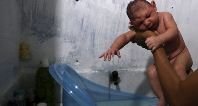 Brasil confirmó más de 500 casos de microcefalia por virus del zika