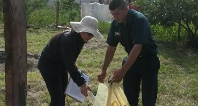 Encuentran 1.589 casas con criaderos, en Itapúa