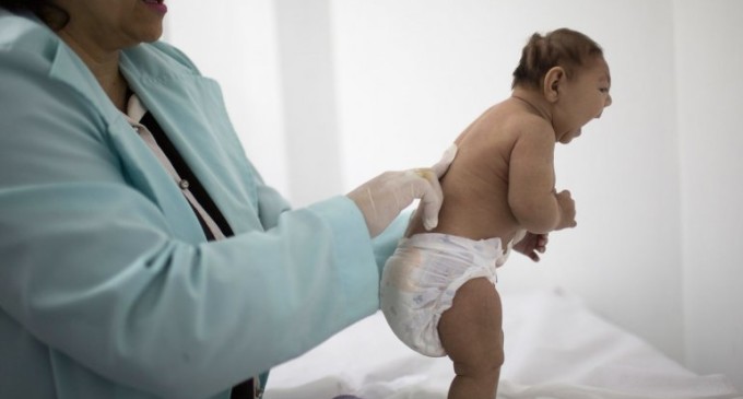 Brasil confirmó casi 1.300 casos de microcefalia vinculados al zika
