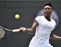 Venus Williams vuelve a las semifinales de Wimbledon