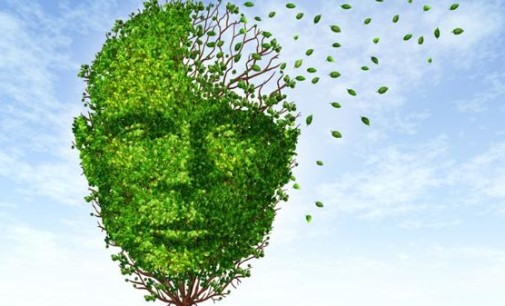 Detectan un posible freno al avance del Alzheimer