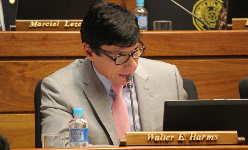 Walter Harms explica que por razones prácticas apoya reelección vía enmienda