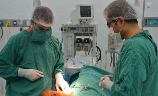 Por primera vez clínicas hará un trasplante de médula ósea