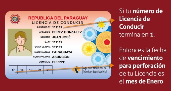 Licencias de conducir unificadas se realizarán cuando las mismas venzan