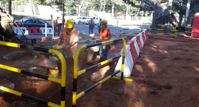 Avanzan obras del metrobús