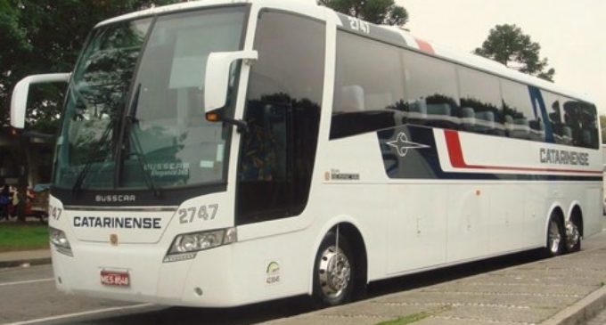 Empresarios de transporte internacional recomiendan a pasajeros no llevar objetos de valor ni dinero en efectivo
