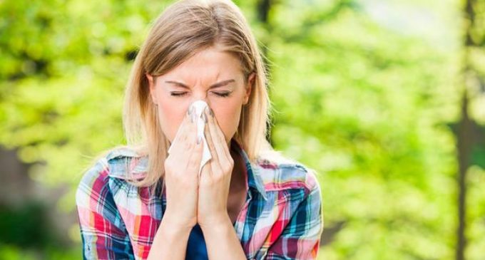 Cuáles son las alergias más comunes en verano