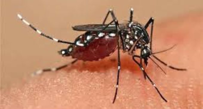 Clínicas descarta caso de dengue hemorrágico, de momento