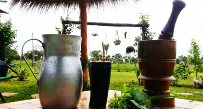 Día Nacional del Tereré