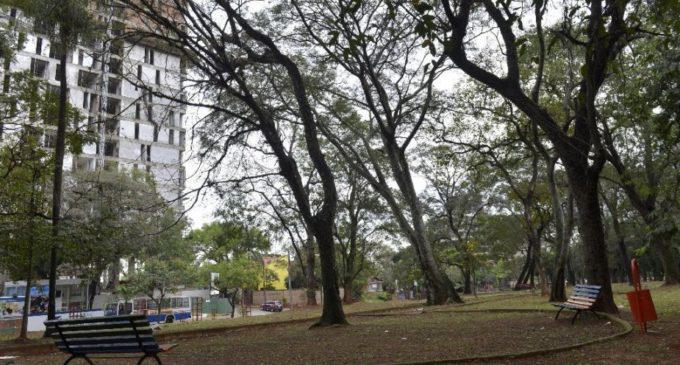 Vecinos quieren que se conserve el Parque Pavetti
