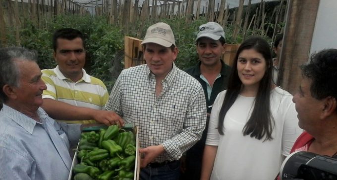 El MAG presentó App para asistir a agricultores