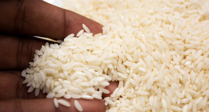Productores paraguayos exportan arroz a Dubái