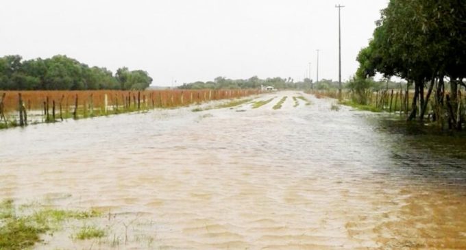 Miles de hectáreas de cultivos golpeados por inundaciones en Ñeembucú