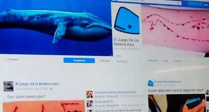 Secretaría de la Niñez y Adolescencia pide acabar con psicosis sobre “La Ballena Azul”