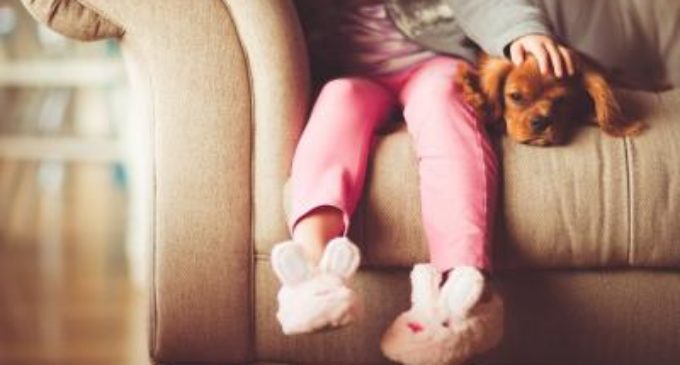 Tener perro podría reducir el riesgo de alergias y obesidad