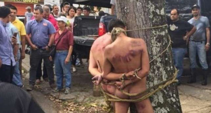 Venezuela: La fotografía de los hombres amarrados a un árbol es un “falso positivo”