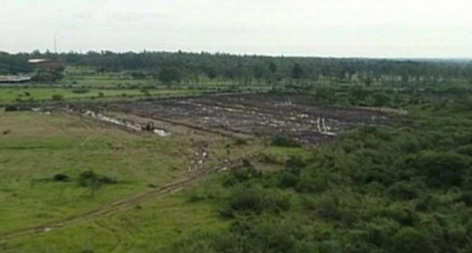 DINAC pide que continúen trabajos en el Parque Guasu