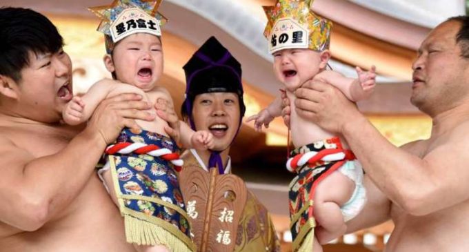 La lucha sagrada entre ‘bebés sumo’ que hace las delicias de los padres japoneses
