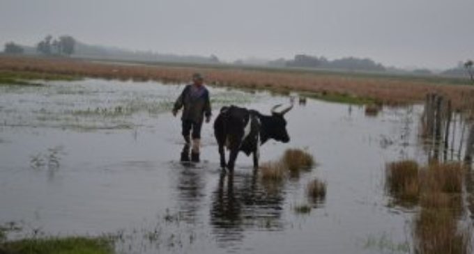 Inundaciones de nuevo golpean a Alberdi