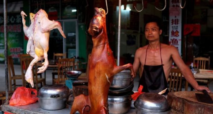 ¿Cancelarán el polémico festival de la carne de perro en China?
