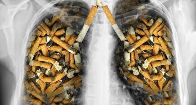 Hoy se conmemora el Día Mundial sin Tabaco