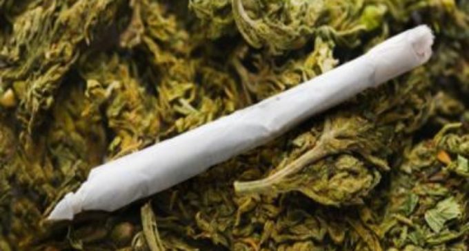 Los efectos en el cerebro del consumo prolongado de marihuana