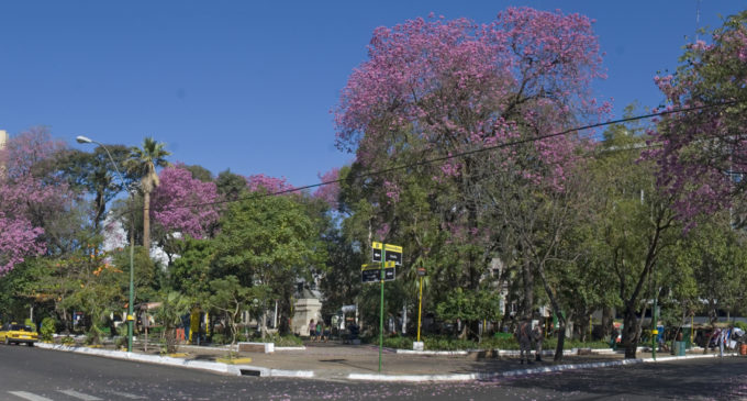 Fin de semana cálido y sin lluvias