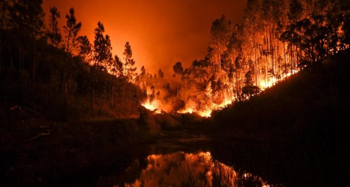 Aumentan a 64 muertos y 250 heridos tras un incendio forestal en Portugal