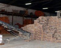 Destacan récord en producción nacional de cemento