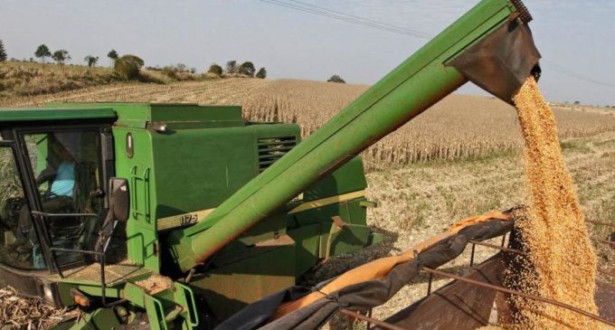 “Será un daño bastante fuerte para el productor mediano y pequeño, si se da el impuesto”