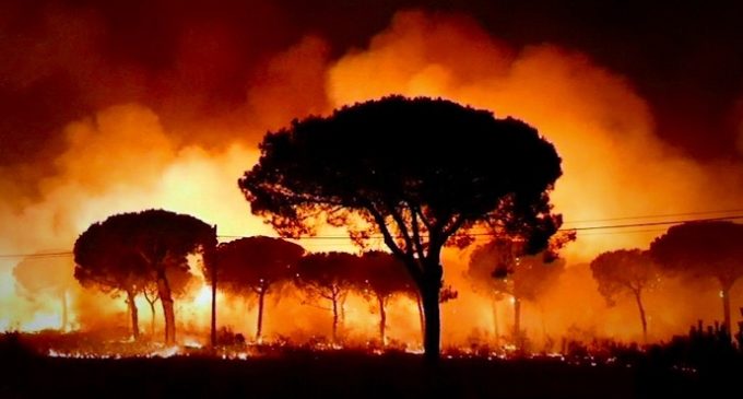 Fuerte incendio provoca al menos 2.000 evacuados en parque nacional de España