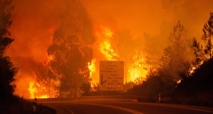 Un incendio en Portugal causa al menos 19 muertos y 20 heridos