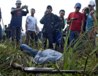 5 años de Curuguaty: “Se plantaron pruebas en el lugar de la masacre”, asegura activista
