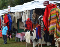 Festival del Ovecha Rague se extiende durante el fin de semana