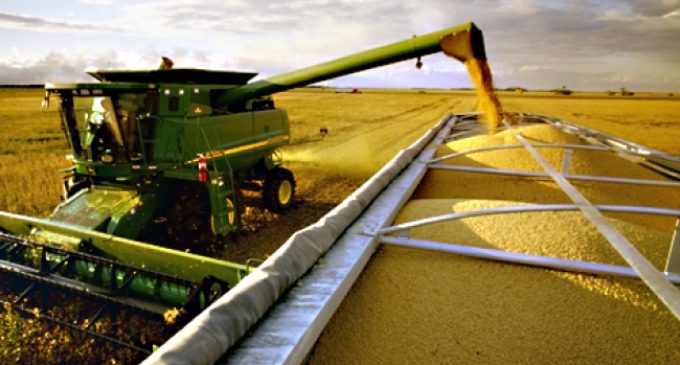 Gremios de producción rechazan impuesto a soja