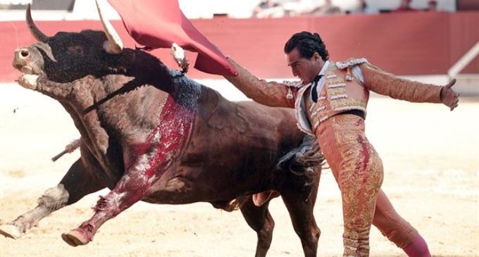 Murió un torero español tras sufrir una cornada en un pulmón