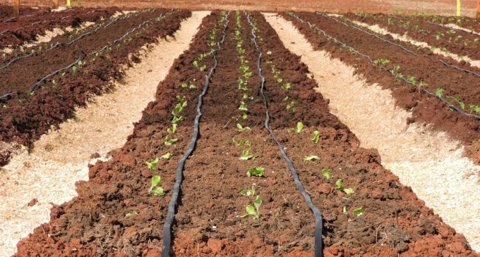 Capacitación para productores en Itapúa