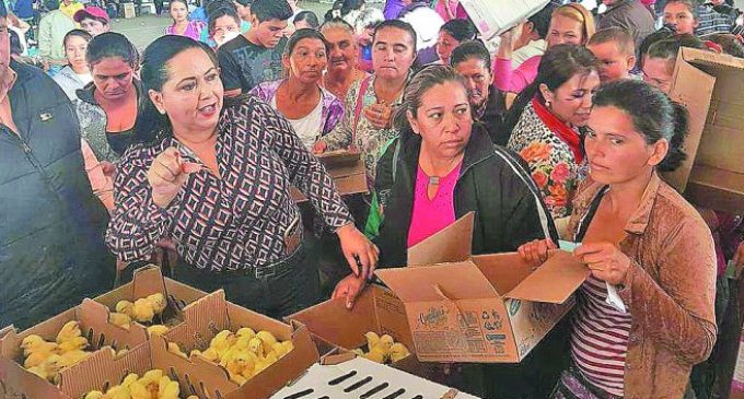Ministro de agricultura molesto por acto de proselitismo en entrega de pollitos y alimentos