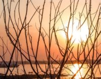 Fin de semana caluroso