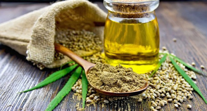 Aceite de Cannabis: No es curativo pero ayuda a mejorar la calidad de vida del paciente