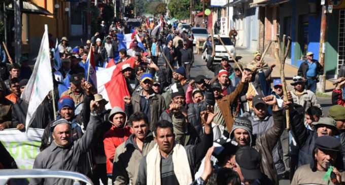 Critican que Senadores apruebe subsidio sin tener lista de campesinos