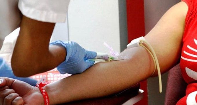 Polémica en Argentina: Un joven denunció que no lo dejaron donar sangre por ser homosexual