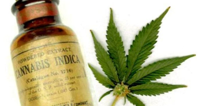 Aceite de Cannabis a la venta en nuestro país
