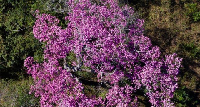 Martes caluroso y leve descenso de temperatura para el miércoles