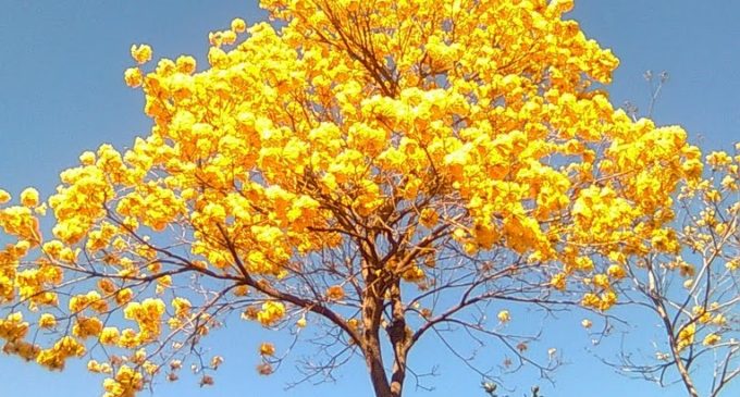 Jueves con ambiente fresco a cálido