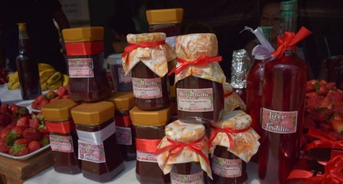 Quieren posicionar la producción de frutilla en Yaguarón