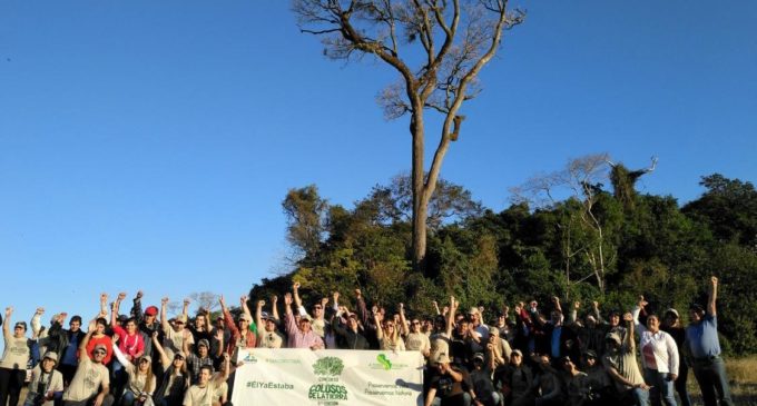 Prosigue búsqueda del “Coloso de la Tierra”